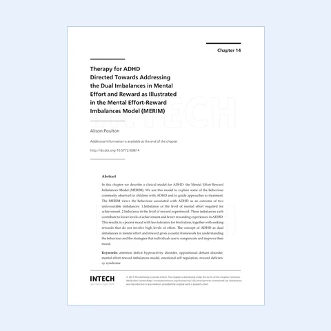 First page of the MERIM book chapter PDF